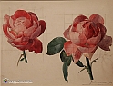 VBS_1209 - Camillo Boito - L'Arte Italiana e l'Ornamento Floreale 1898